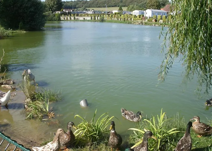 Hotel Des Etangs Roussent